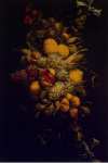 Utrecht Adriaen van Garland of Fruit and Vegetables  - Hermitage